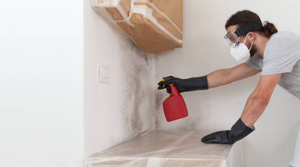 Professional Hvac And Air Duct Mold Remediation technician working in Bellevue, MI